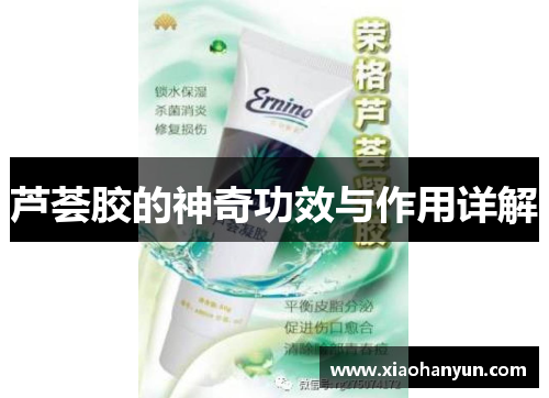 芦荟胶的神奇功效与作用详解